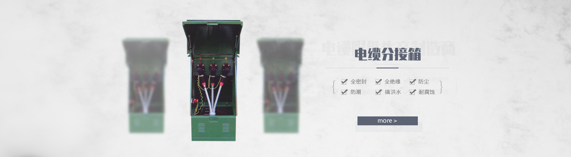 浙江逸明電力設(shè)備有限公司