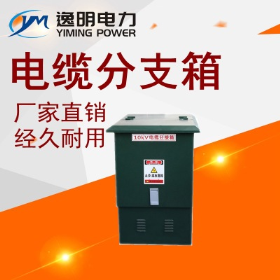 10kv電纜分支箱
